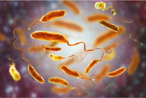 Flesh-Eating Bacteria Cases on the Rise: Here Are the Symptoms
